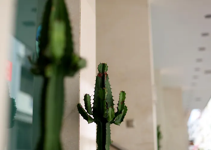 Hotel com casino: Exe Wellington